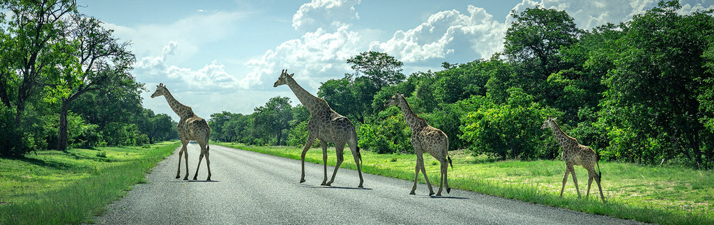 Namibia-Expedition 2025